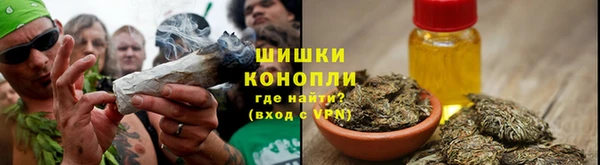 apvp Богданович