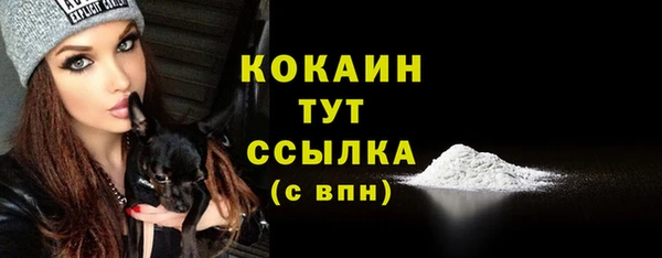 apvp Богданович