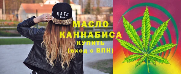 apvp Богданович